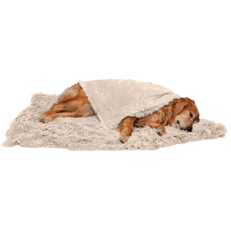 Velvet dog blanket hot sale